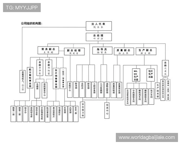 云顶集团有限公司简介：公司领导团队与管理架构的详细介绍